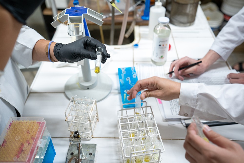Estudiantes de las Ingenierías Química e Industrial expondrán sus proyectos de trabajo final de carrera